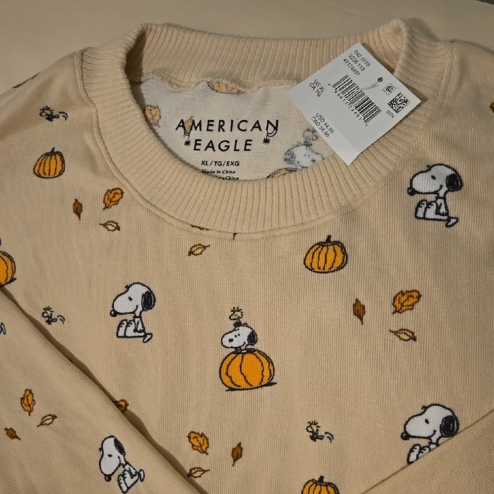 AE Plush Snoopy Fall Pj Set - Picture 2 of 3